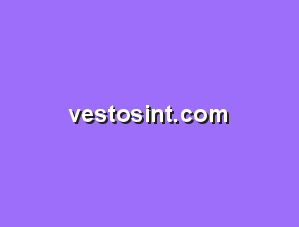 vestosint.com